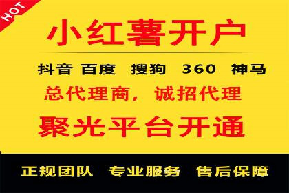 短视频平台的SEM营销推广策略及效果